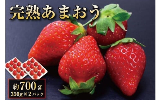 【2026年1月〜2月出荷予定】完熟 あまおう イチゴ 350g×2パック(約700g)<配送不可:北海道、沖縄県、離島>福岡県大川市9000果物・フルーツいちご