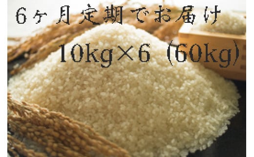 定期便 福岡県大川市産ヒノヒカリ(2024年秋収穫のお米)10kg×6回 定期コース(全6回のお届け) | 米 お米 こめ 白米 精米 60キロ 食品 ライス 令和6年 美味しい おいしい ご飯 ごはん 人気 お