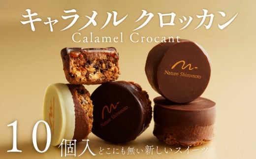 焼き菓子 キャラメルクロッカン 10個入 キャラメル クロッカン チョコ チョコレート カカオ スイーツ お菓子 焼菓子 おやつ デザート 洋菓子 ギフト プレゼント 贈り物 お祝い 御歳暮 お歳暮