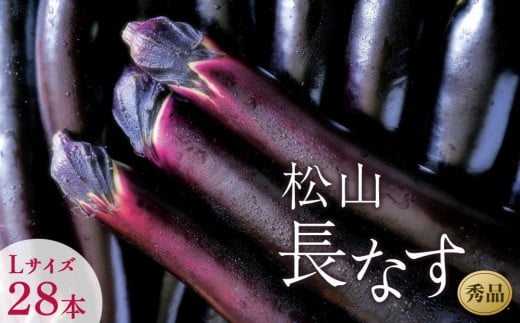 【先行予約】【2026年7月から発送予定】<松山ブランド>松山長なす 秀品 Lサイズ 28本入り 野菜 愛媛 ブランド なす 夏野菜愛媛県松山市12000野菜・きのこその他 野菜