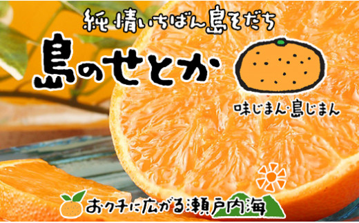 【2026年3月上旬から発送予定】 せとか 約1.5kg(6玉) 特選品 大玉 愛媛 中島産 | みかん 愛媛 先行予約 柑橘 果物 くだもの フルーツ お楽しみ お取り寄せ グルメ 期間限定 数量限定 人気 おす