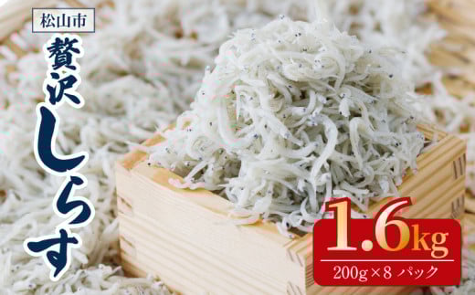 炷 1.6kg ( 200g × 8pbN ) Ⓚ  24lO 炷 Ԃ    ͂ u `[n pX^ XpQeB T_ Ă  O lC  Q R