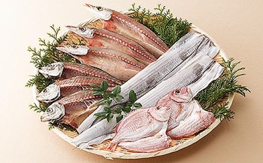 <マキノ海産>瀬戸の一夜干し |  ひもの 干物 お取り寄せ 産地直送 ギフト 数量限定 人気 おすすめ 愛媛県 松山市愛媛県松山市22000魚介・海産物干物
