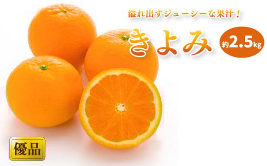 【2026年3月中旬から発送予定】きよみ 家庭用(優品) 約2.5kg おすすめ人気 みかん 果物 フルーツ 愛媛県産 みかん 松山市 愛媛県愛媛県松山市10000果物・フルーツみかん・柑橘類
