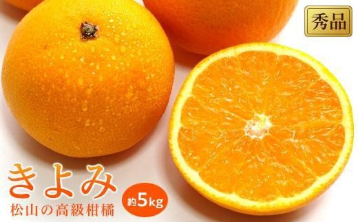 【2026年3月中旬から発送】 きよみ<秀品>約5kg愛媛県松山市18000果物・フルーツみかん・柑橘類