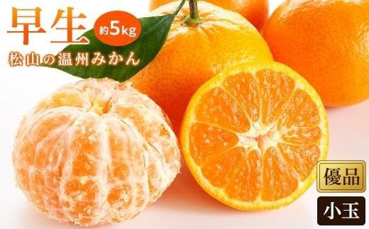 【先行予約】【2025年11月中旬から発送予定】温州みかん「早生」 約5kg 愛媛みかん 愛媛蜜柑 愛媛ミカン うんしゅう みかん mikan 先行予約 果物 フルーツ 柑橘 濃厚 甘い 甘味 蜜柑 産地直送
