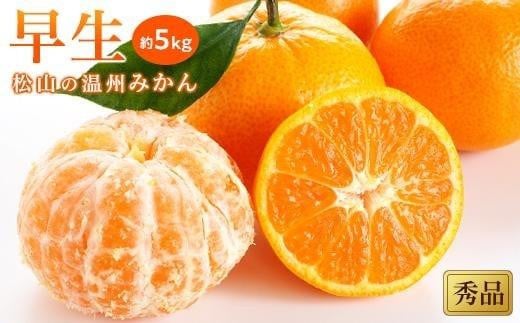 【先行予約】【2025年11月中旬から発送予定】温州みかん「早生」<秀品>約5kg ※11月中旬より出荷開始予定 ( 愛媛産 愛媛県産ミカン 国産 愛媛みかん 愛媛蜜柑 愛媛ミカン みかん ミカン