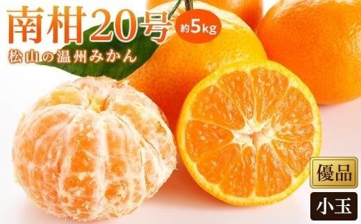 【先行予約】【2025年12月中旬から発送予定】温州みかん「南柑20号  約5kg ( 愛媛産 愛媛県産 国産 愛媛みかん 愛媛蜜柑 愛媛ミカン みかん ミカン mikan 蜜柑 柑橘 フルーツ 果物 くだもの お