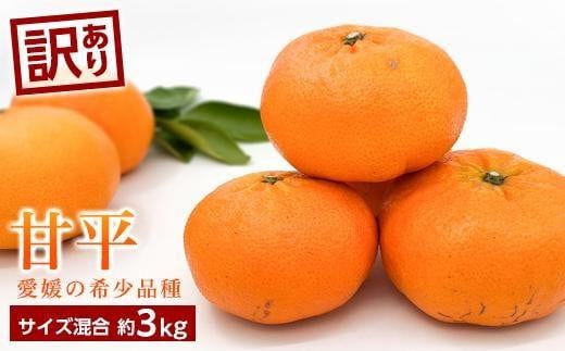y1{甭\z󂠂聄Õ(؂)@3kgQRs17000ʕEt[c݂Ek
