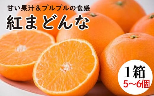 g܂ǂ1i56j |  k t[c ܂ǂ ݂ Q ݂  tWEAOt[Y Q RsQRs16000ʕEt[c݂Ek