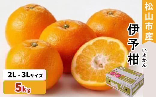 松山市産 伊予柑 秀品 2L〜3Lサイズ (5kg)愛媛産  国産 愛媛みかん 愛媛蜜柑 愛媛ミカン みかん ミカン mikan 蜜柑 柑橘 フルーツ 果物 くだもの お取り寄せ 産地直送 数量限定 人気 おすすめ