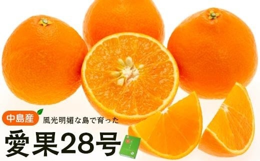 【12月上旬から発送】 中島産 手詰め愛果(あいか) L〜3Lサイズ ( 愛媛産 愛媛県産 国産 愛媛みかん 愛媛蜜柑 愛媛ミカン みかん ミカン mikan 蜜柑 柑橘 フルーツ 果物 くだもの お取り寄せ