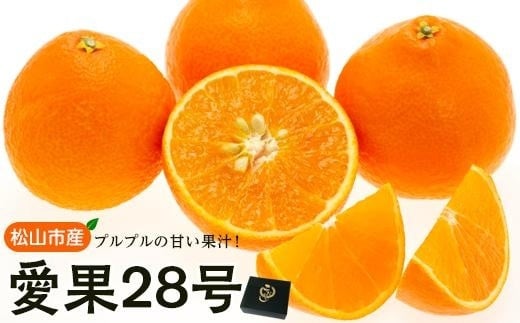 ★発送は11月下旬〜★ 松山市産 愛果28号 L〜3L 愛媛産  国産 愛媛みかん 愛媛蜜柑 愛媛ミカン みかん ミカン mikan 蜜柑 柑橘 フルーツ 果物 くだもの お取り寄せ 産地直送 数量限定 人気 おす