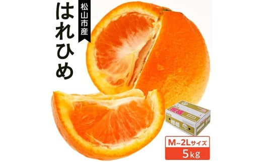 ★発送は12月上旬から★松山市産 はれひめ M〜2L (5kg)愛媛産  国産 愛媛みかん 愛媛蜜柑 愛媛ミカン みかん ミカン mikan 蜜柑 柑橘 フルーツ 果物 くだもの お取り寄せ 産地直送 数量限定 人