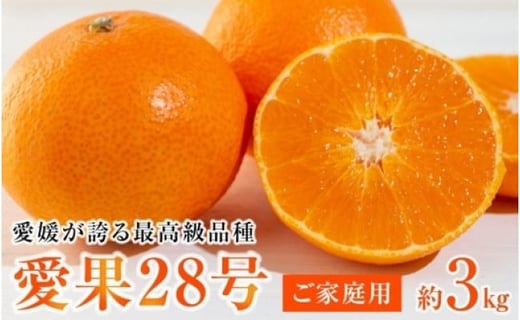 【先行予約】【2025年12月上旬から順次発送】愛媛が誇る最高級品種【愛果28号】ご家庭用 3kg (10-15個前後) あいか ご家庭用 みかん 数量限定 みかん 愛媛県産 みかん 愛果28号 松山市 みかん