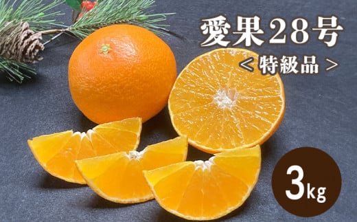 【先行予約12月より発送】 特級品 愛果28号 3kg | | 12月発送 紅まどんな と同品種 みかん 柑橘 愛果28号 みかん あいか 果物 フルーツ 松山市 愛媛県 田村農園愛媛県松山市35000果物・フルーツみ
