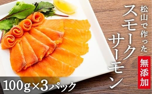 ytw\zRōYX[NT[ 300g | CN  X[N T[ ̂ ͂̂ bP i T_ Y ̍ Ⓚ Q RsQRs10000