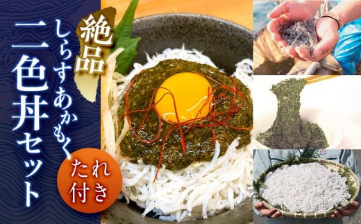 тސi炷EFZbgitjQRs10000ECY̑ ECY