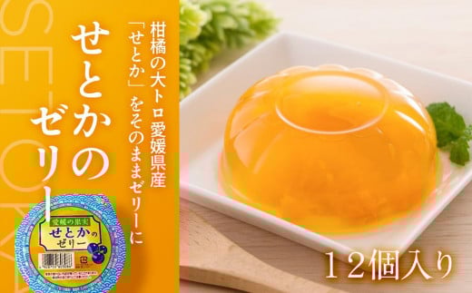 せとかのゼリー12個入り | ゼリー ぜりー 柑橘ゼリー みかんゼリー 果物 スイーツ せとか 愛媛 松山愛媛県松山市12000菓子・スイーツプリン・ゼリー