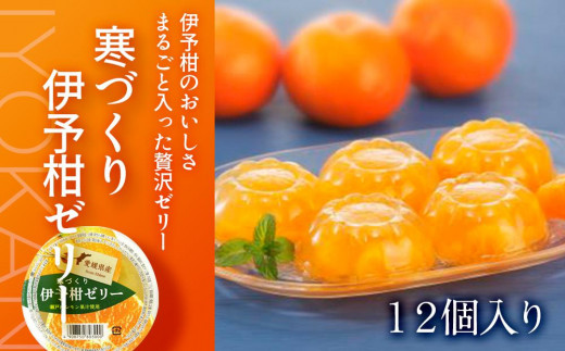 【 柑橘 寒づくり ゼリー】いよかん ゼリー 12個 セット | ゼリー いよかんゼリー みかん 蜜柑 柑橘 いよかん 伊予柑 スイーツ 愛媛県 松山市愛媛県松山市8000菓子・スイーツプリン・ゼリー