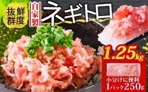 ネギトロ 1.25kg (250g×5パック) 冷凍 小分け | まぐろ 鮪 ネギトロ ねぎとろ まぐろたたき まぐろのたたき マグロたたき ネギとろ ねぎトロ maguro 愛媛県 松山市愛媛県松山市10000魚介・海産物そ