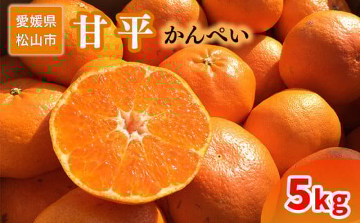 家庭用 甘平 5kg愛媛県松山市41000果物・フルーツみかん・柑橘類