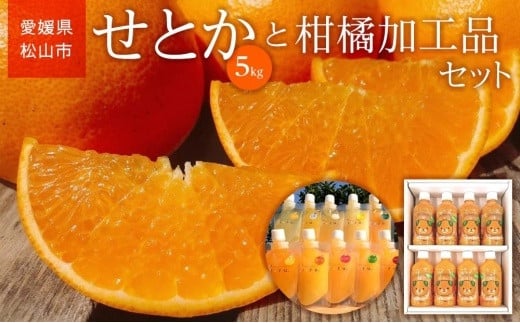 【2026年2月中旬から順次発送】 家庭用 せとか 5kg と 柑橘加工品セット | 愛媛 みかん 先行予約 蜜柑 柑橘 果物 くだもの フルーツ お取り寄せ グルメ 期間限定 数量限定 人気 おすすめ 愛媛県