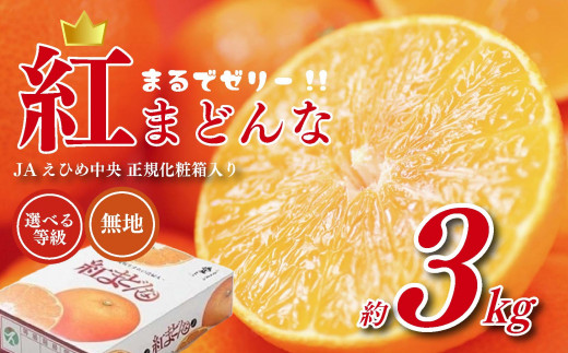 【先行予約】 紅まどんな JAえひめ中央 正規化粧箱入 選べる 等級 無地 JA 紅まどんな 紅マドンナ まどんな マドンナ みかん ミカン 蜜柑 果物 くだもの フルーツ 柑橘 柑橘類 かんきつ 愛媛