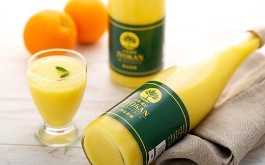 みかんジュース 100% 宮内伊予柑 720ml × 6本 皮ごとストレート | ジュース 果汁100% ストレート いよかんジュース 果汁100% ジュース みかん ジュース 100% ストレート みかん 蜜柑 mikan ノン