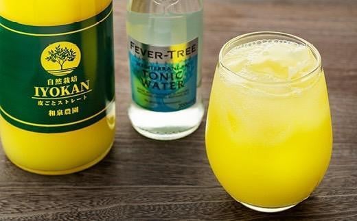 みかんジュース 100% 宮内伊予柑 720ml×2本 皮ごとストレートトニックウォーター200ml×2本 セット | ジュース 果汁100% ストレート いよかんジュース 果汁100% ジュース みかん ジュース 100%