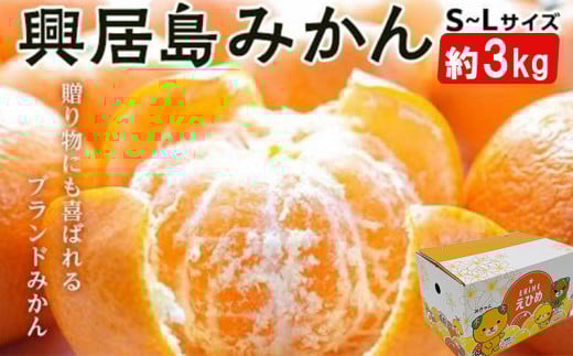 ★発送2025年11月下旬〜★興居島みかん S〜L サイズ 約3kg愛媛県松山市10000果物・フルーツみかん・柑橘類
