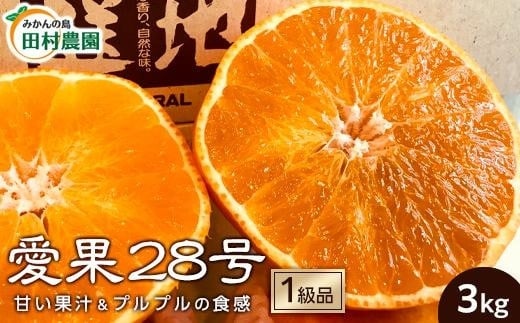 ys\12{甭zy1iz28 3kg | 12 g܂ǂ Ɠi ݂ k 28 ݂  ʕ t[c Rs Q c_QRs26000ʕEt[