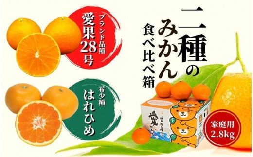 【早期予約受付中!2025年12月〜順次発送】二種のみかん食べ比べ箱 愛果28号・はれひめ(家庭用) 約 2.8kg 食べくらべ 愛媛 みかん 詰め合わせ 先行予約 蜜柑 柑橘 果物 くだもの フルーツ お