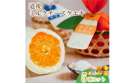 道後ミルクチーズケエキ 5種セット チーズケーキ お菓子 スイーツ おやつ ケーキ チーズケーキ スイーツ ケーキ チーズケーキ 道後 愛媛県 松山市愛媛県松山市11000菓子・スイーツケーキ・
