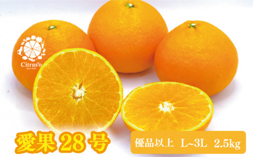 【2025年12月上旬から発送】愛果28号 優品以上 L〜3L玉 2.5kg あいか | 愛媛 みかん 先行予約 紅まどんな 紅マドンナ と同品種 蜜柑 柑橘 果物 くだもの フルーツ お取り寄せ グルメ 期間限定 数