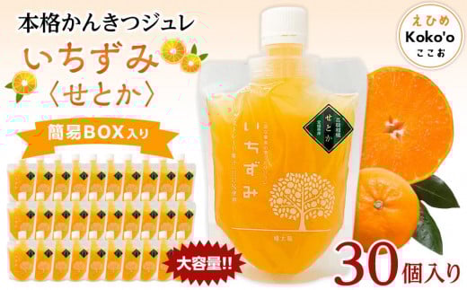 本格かんきつジュレ「いちずみ」<せとか> 30個入り(簡易BOX入り) | ゼリー 柑橘ゼリー 柑橘ジュレ みかん スイーツ せとか 愛媛県 松山市 ココオ Koko'o愛媛県松山市41000菓子・スイーツ
