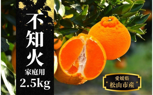 【不知火】家庭用 約 2.5kg <2026年2月末〜4月頭頃発送> 愛媛 松山 みかん 先行予約 蜜柑 柑橘 果物 くだもの フルーツ お取り寄せ グルメ 期間限定 数量限定 人気 おすすめ 愛媛県 松山市愛
