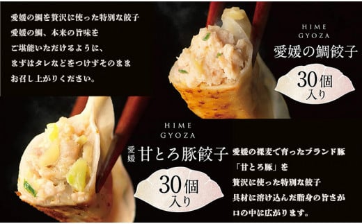 愛媛の甘とろ豚餃子(30個)・愛媛の鯛ぎょうざ(30個) ( おかず オカズ  お惣菜 時短料理 中華 大人気 おいしい 美味しい 満腹 まんぷく 国産 小麦粉  一人暮らし 鉄板 時短 簡単 冷凍 愛媛