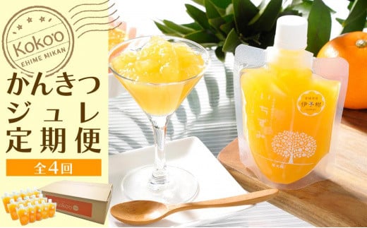 【定期便・年4回】かんきつジュレ定期便 30個×4回愛媛県松山市183000菓子・スイーツプリン・ゼリー