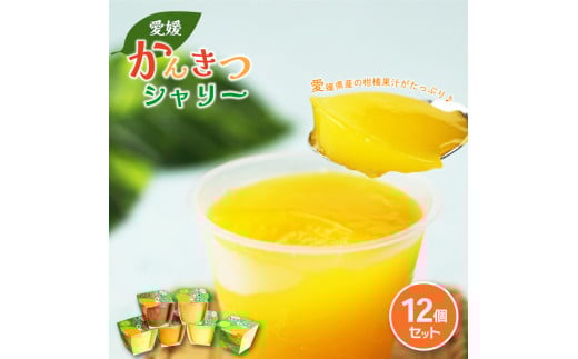 ylCz Ђ k V[ 12 Ⓚ X ʏ` V[xbg [[ k [[ ݂Hi ʕ[[ t[c ʕ  Q݂ t[Y ݂V[xbg XC