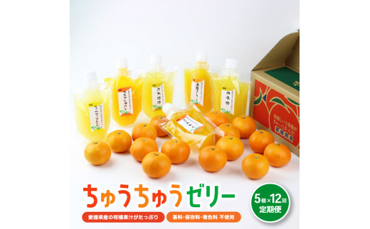 【大人気】 ちゅうちゅうゼリー 定期便 5個×12回 果汁ゼリー 柑橘 ゼリー みかん 果物ゼリー スイーツ 愛媛県 松山市 松山おすすめ 定期便 果物 頒布会 ゼリー ちゅちゅうゼリー 定期便 スイ