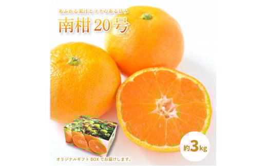 【先行予約】【 2025年12月中旬から発送予定 】 温州みかん 「 南柑20号 」< 秀品 > 約3kg 【 ギフトBOX 入り 】愛媛県松山市11000果物・フルーツみかん・柑橘類