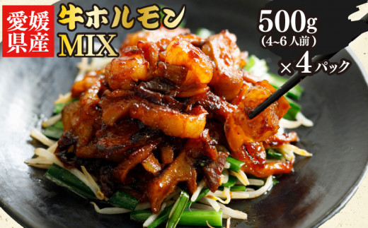 愛媛県産 牛 ホルモン MIX 500g × 4 パック ミックス ホルモン ピリ辛 希少 小分け 牛 ホルモン 部位 ホルモン焼き 料理 焼き 愛媛県 松山市愛媛県松山市16000肉牛肉