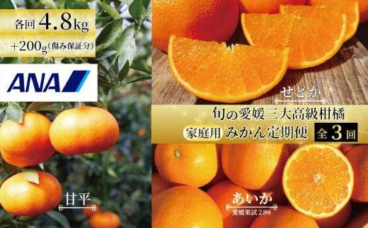 【2025年12月上旬から発送】【定期便 全3回】旬の愛媛三大高級柑橘 家庭用 愛果28号 せとか 甘平 | 柑橘 みかん 果物 くだもの フルーツ おすすめ 高級 人気 お取り寄せ グルメ ギフト 期間限