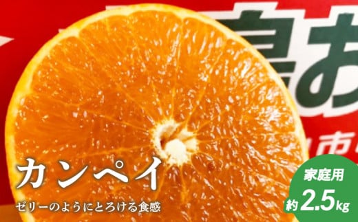 【2026年2月上旬頃より発送】 甘平 約 2.5kg 家庭用 | カンペイ 甘平 みかん 柑橘 果物 フルーツ 松山市 愛媛県 愛媛県産甘平 かんぺい みかん 幻の柑橘 人気の甘平 田村農園の甘平愛媛県松山市