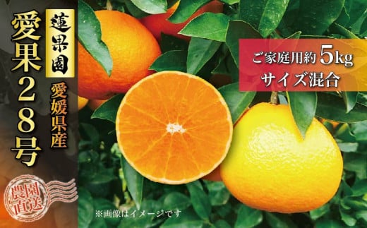 【先行予約】 あいか 訳あり ご家庭用 5kg 愛果28号 【11月下旬から発送】 | あいか 紅まどんな 紅マドンナ と 同品種 愛媛みかん みかん ミカン mikan お取り寄せ 産地直送 数量限定 人気 おす