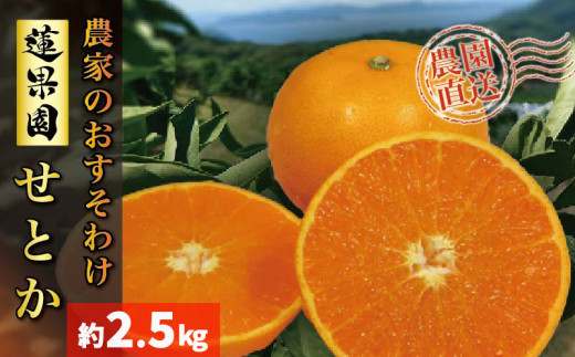 【2026年2月下旬から発送予定】  せとか B品 家庭用2.5kg |みかん 蜜柑 柑橘 甘い 高級 先行 予約 果物 フルーツ おすすめ 人気 愛媛 松山愛媛県松山市11000果物・フルーツみかん・柑橘類