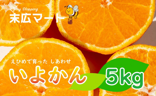 【2026年1月下旬ごろ順次発送】 伊予柑 いよかん 約 5kg 愛媛 興居島 柑橘 糖度 別名 宮内伊予柑愛媛県松山市11000果物・フルーツみかん・柑橘類
