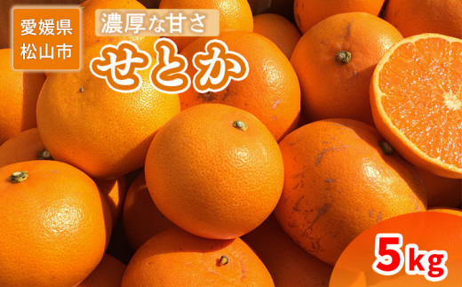 家庭用 せとか 5kg愛媛県松山市22000果物・フルーツみかん・柑橘類