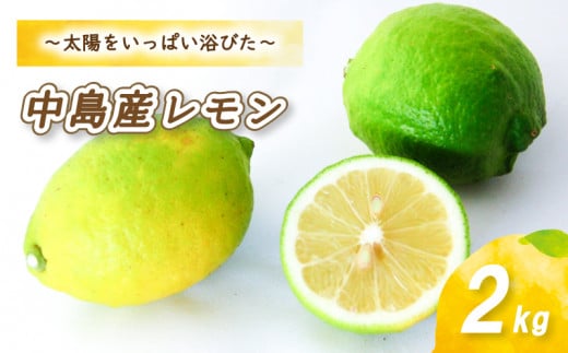 【2025年11月から発送】 レモン 2kg ( 14〜 18玉 )愛媛県松山市6000果物・フルーツみかん・柑橘類